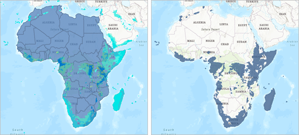 Bird species rarity clipped to Africa boundaries Bird species rarity clipped to Africa boundaries