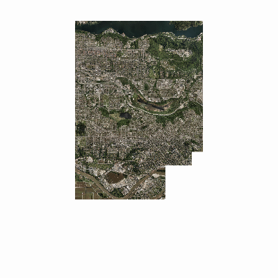 Export Image